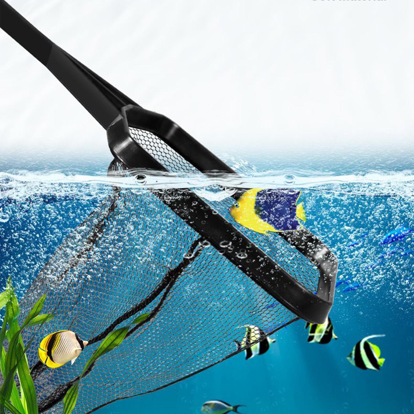 Aquarium-Schöpfnetz, Fischbeck – Pool Skimmer Net Bewertung und Preis